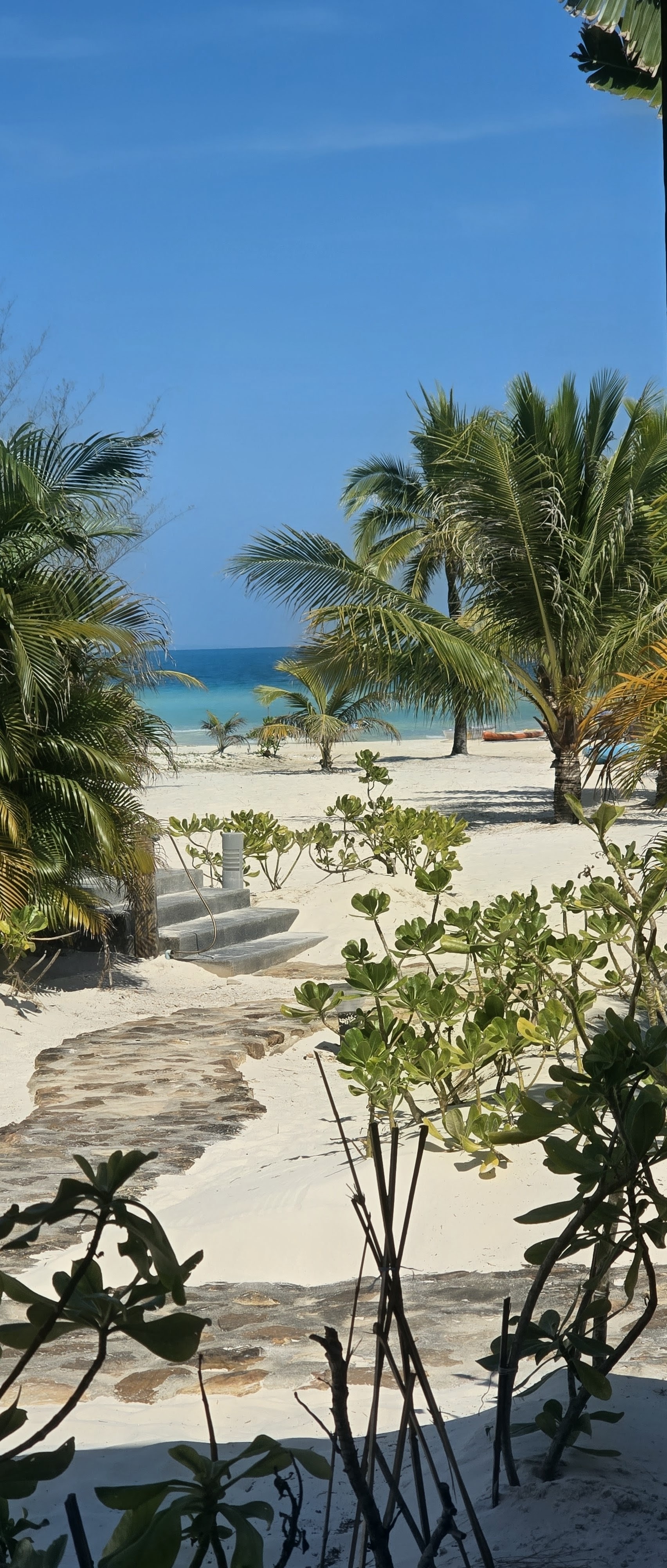 Natural tropical color palette on Koh Rong